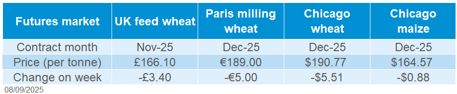 Global grains 08 09 2025